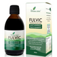 Fulvic Minerals